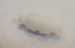 small_photo